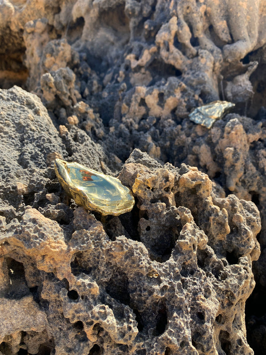 Corey Ashford Brass Oyster Incense Holder