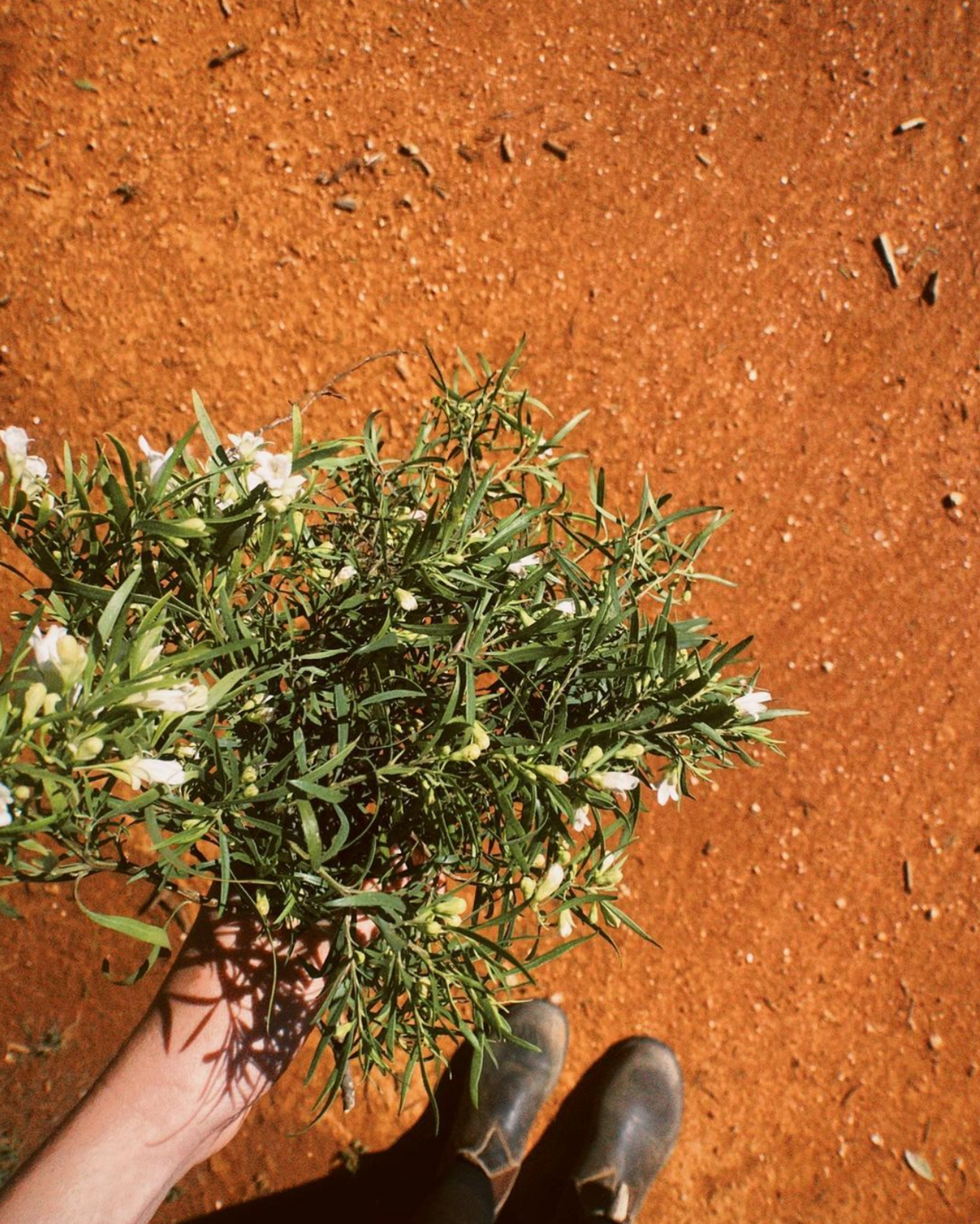 Maddy Hope-Hodgetts / Home, art and Kali