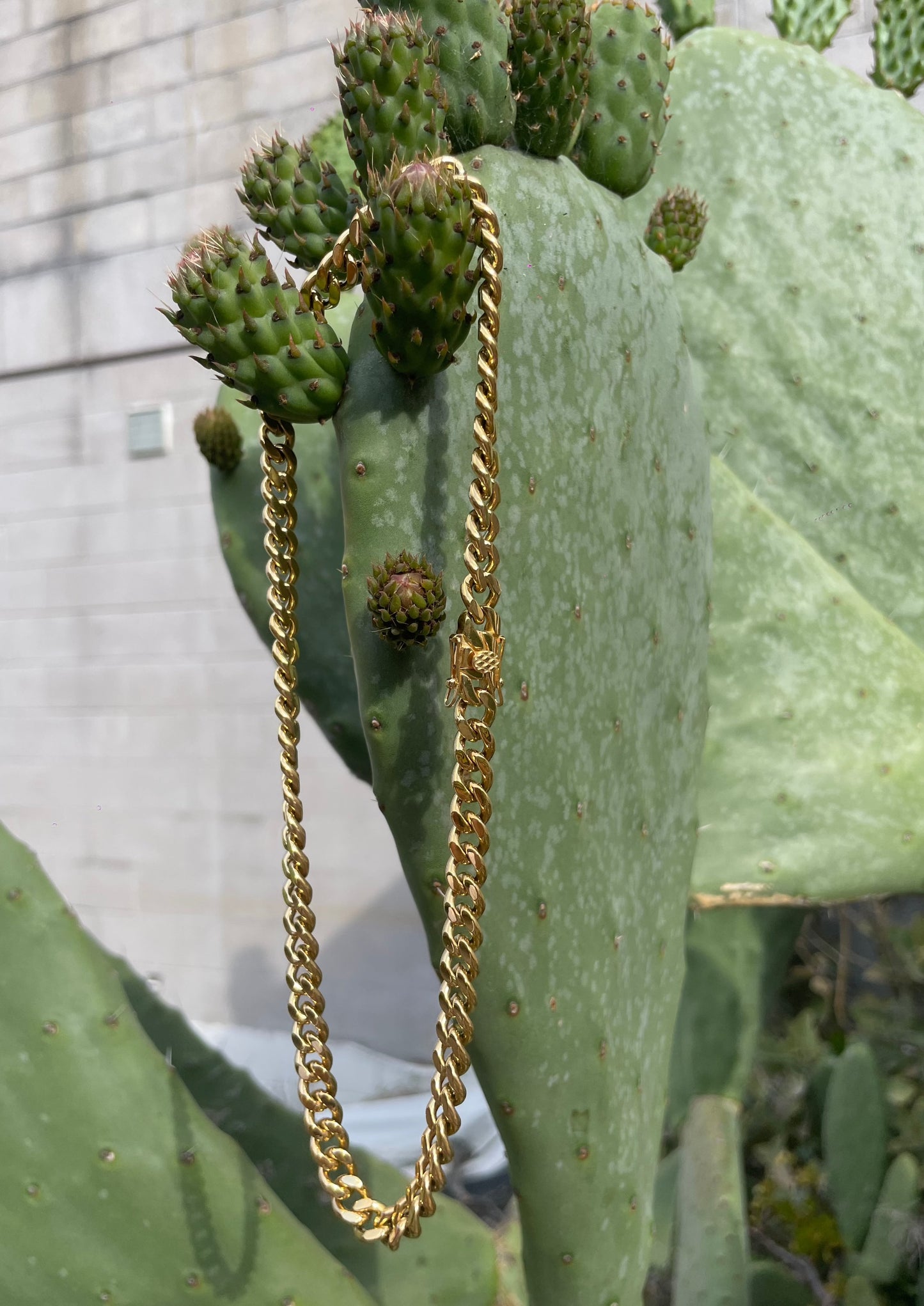 PALERMO 18K GOLD FILLED CURB CHAIN