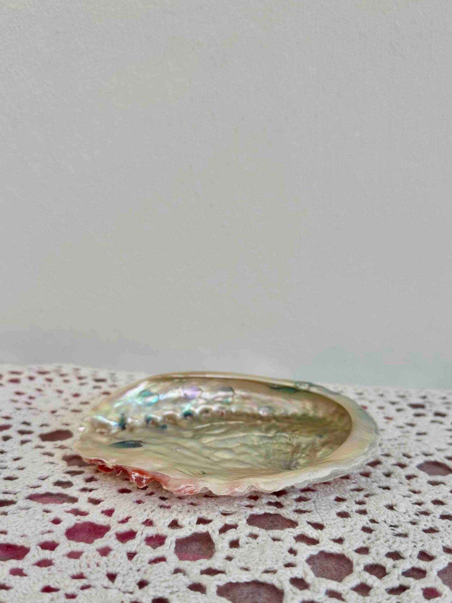 SHELL TRINKET TRAY