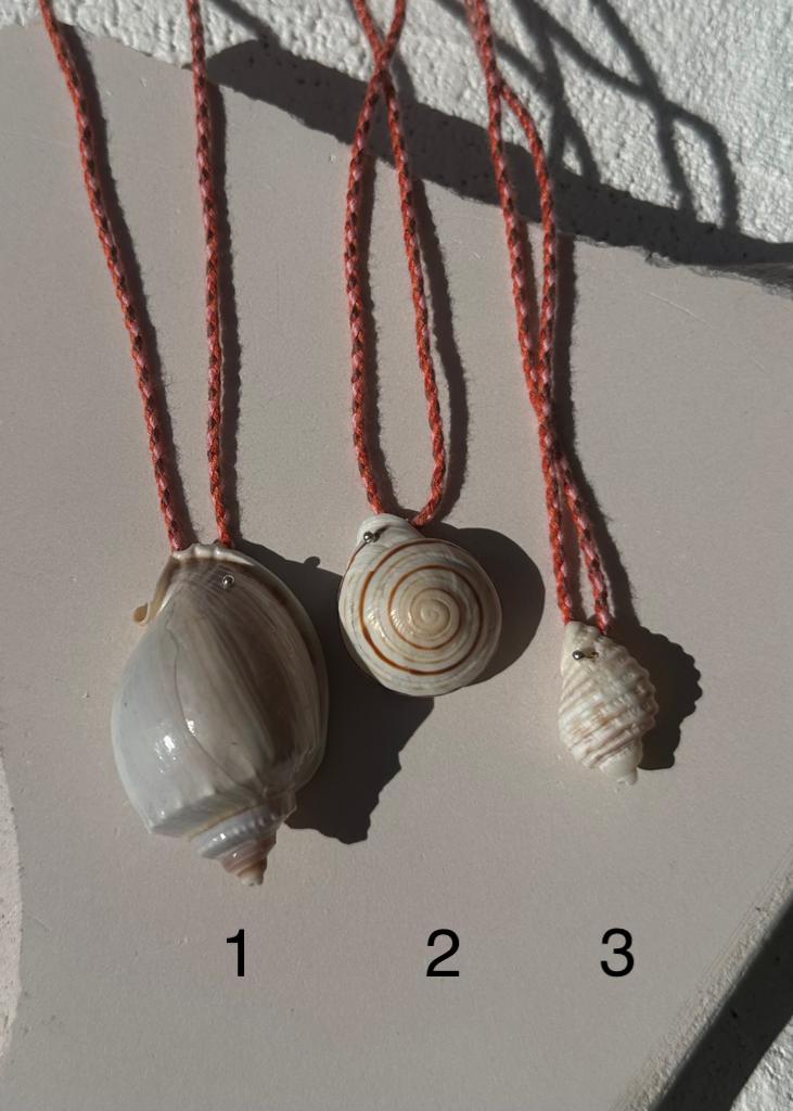 VENUS SHELL NECKLACE