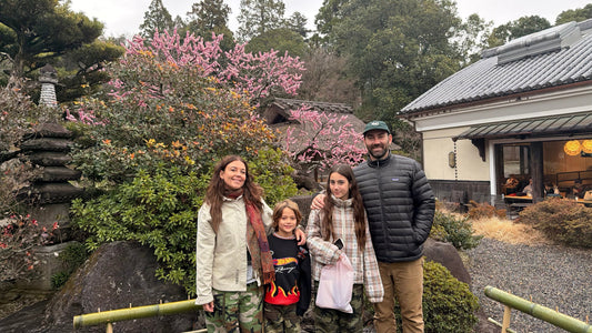Japan 20 Years Later