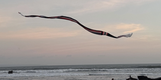 Spotlight on Sungai Watch