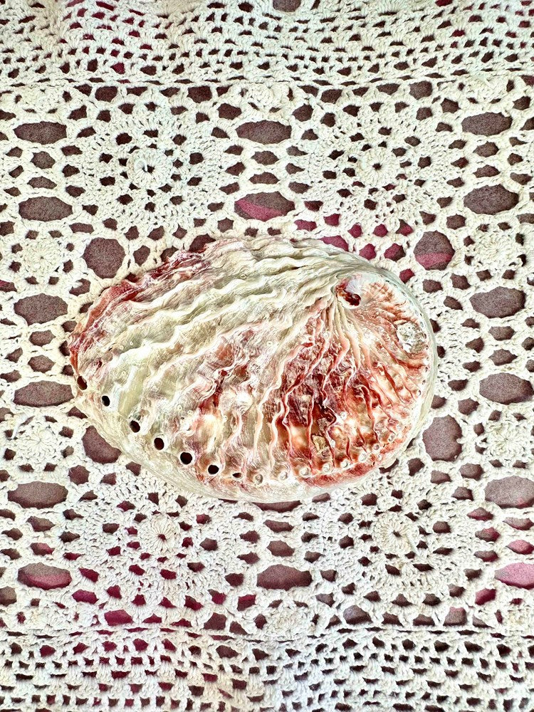 SHELL TRINKET TRAY