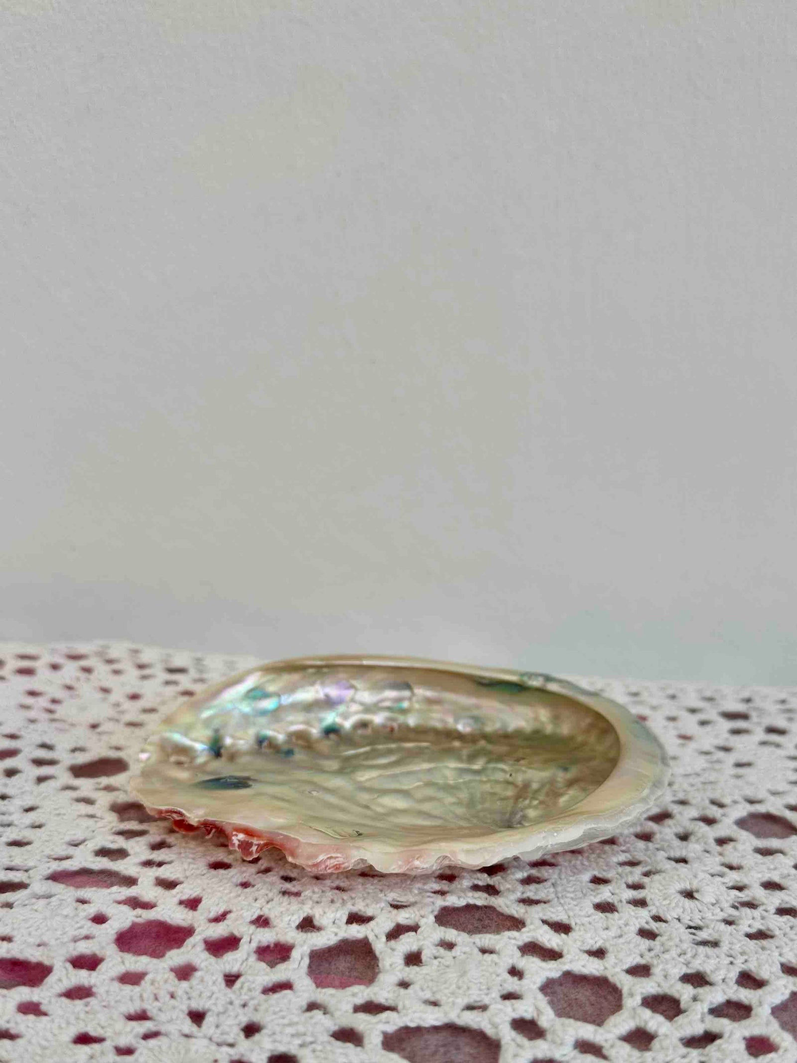 SHELL TRINKET TRAY