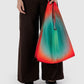 RAIN BAGGU